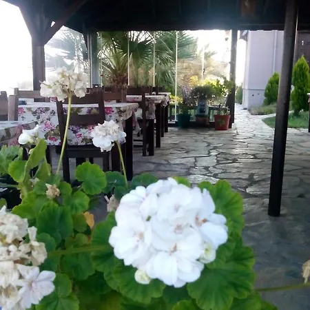 Hotel Uzum