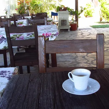 Uzum 5* ボズカーダ