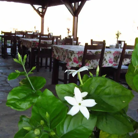 Hotel Uzum